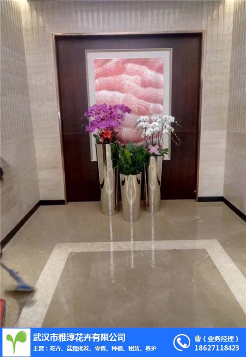 绿化工程:城市绿色画卷的新篇章
